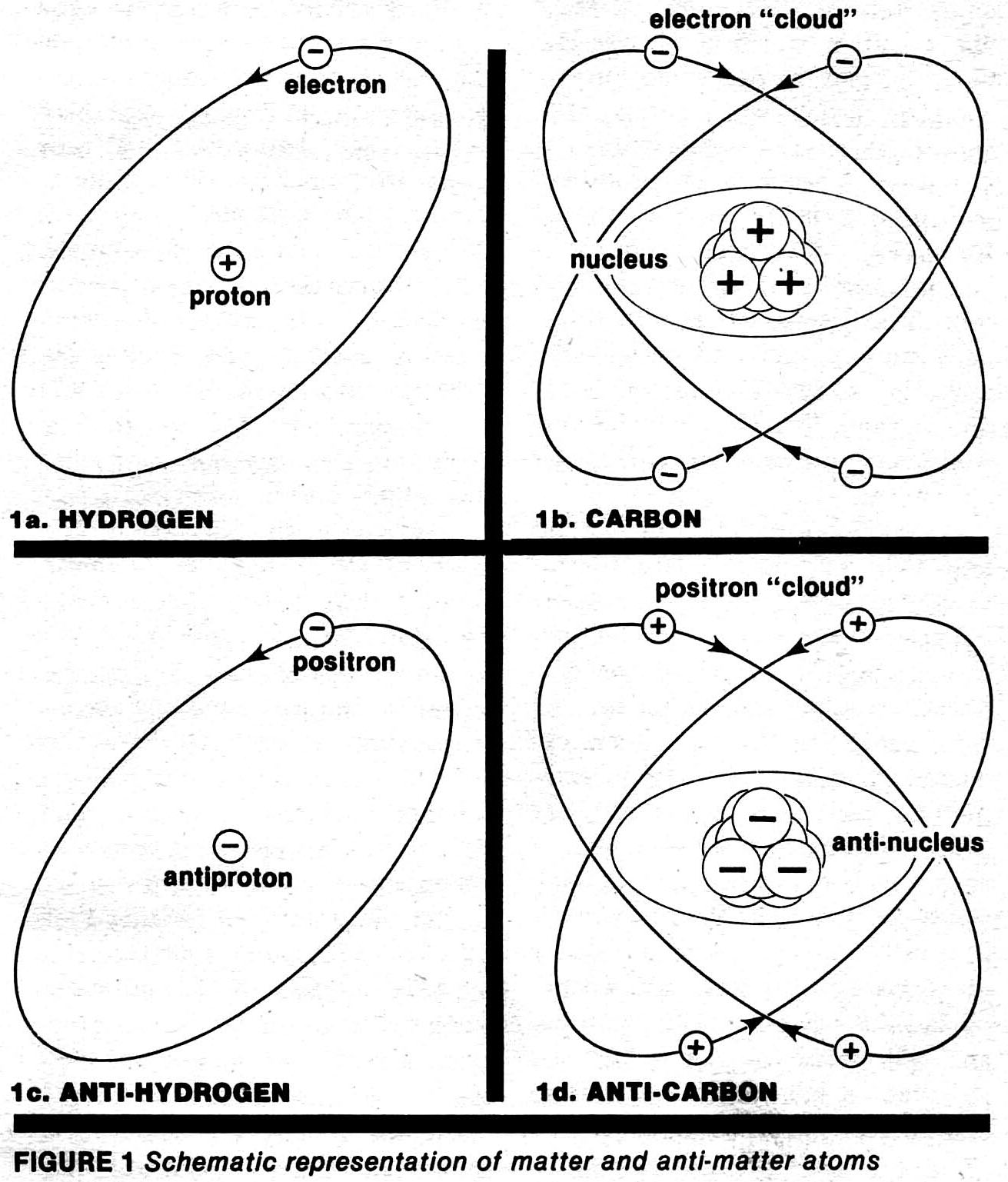 Antimatter Life